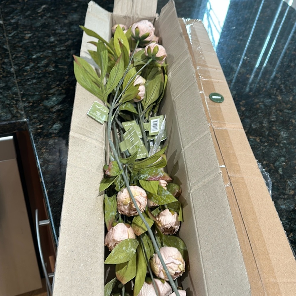 Ashland Tan Peony- 8 stems NWT- Offers welcomed